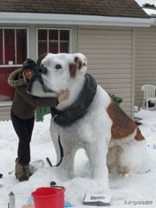 18张艺术雪雕照片,冬天就该这样玩