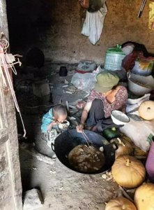 ​为何大凉山还是那么穷？网友：上午的扶贫猪，下午就成了桌上餐！