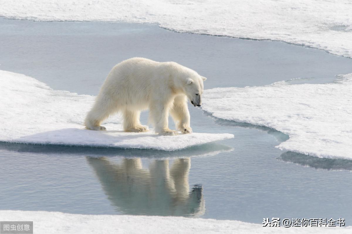 南极地区气候特征(南极的气候特点)