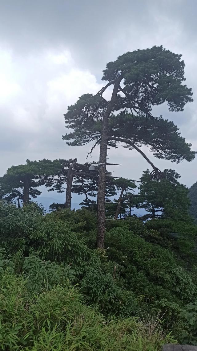 黄山三日游价格(三清山旅游攻略)(3)