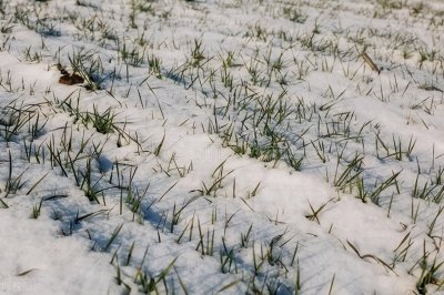 ​冬天麦盖三层被，来年枕着馒头睡——解读中国农民智慧的谚语