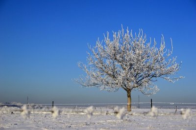 ​交九歌，一年一年太快了