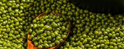 ​绿豆要煮多久才熟 绿豆要煮多久才能吃