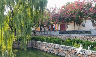 ​从全流转耕地中“拿回”200亩自种，田家北村探索产业振兴“最优解”