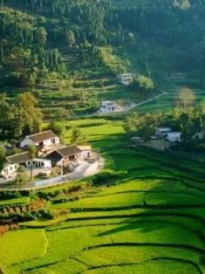 ​水口是什么意思(隐藏水口是什么意思)