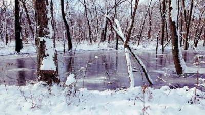 ​什么的男孩(摩羯座的女孩子喜欢什么的男孩)