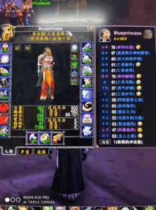 ​完美贡品详细攻略（魔兽世界怀旧服：防骑20分钟厄运西，20分钟完美贡品攻略）