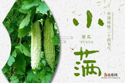 ​小满吃什么传统食物?（小满吃哪些传统食物）