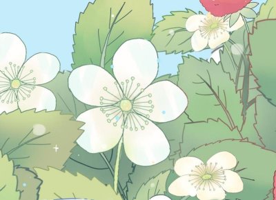 ​经常说的性暗语有哪些？