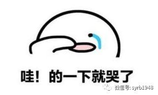 辽宁哪里能查重名（神器上线快来查查沈阳有多少人和你重名）(6)