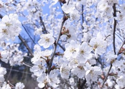 ​题记作文（阅卷老师最爱的作文题记）