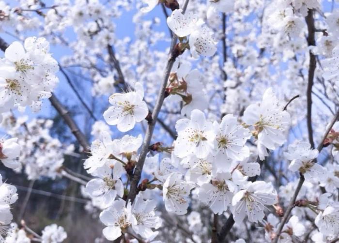 题记作文（阅卷老师最爱的作文题记）