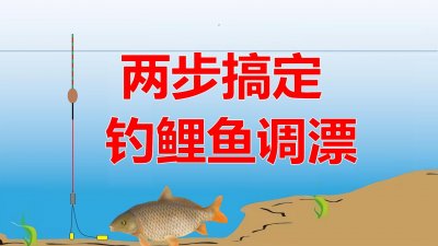 ​野钓鲤鱼调漂有诀窍，几分钟读懂正确思路，新手学会很关键