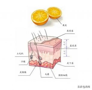 ​冬季皮肤干燥怎么办快速解决（天冷后如何解决皮肤干燥的问题？）