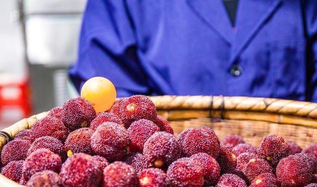 再不去临海吃东魁杨梅，极品杨梅只需20多元，错过再等一年