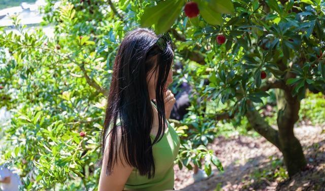 再不去临海吃东魁杨梅，极品杨梅只需20多元，错过再等一年