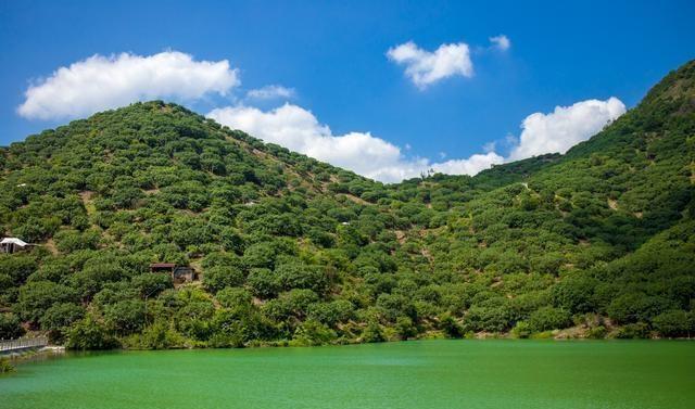 再不去临海吃东魁杨梅，极品杨梅只需20多元，错过再等一年