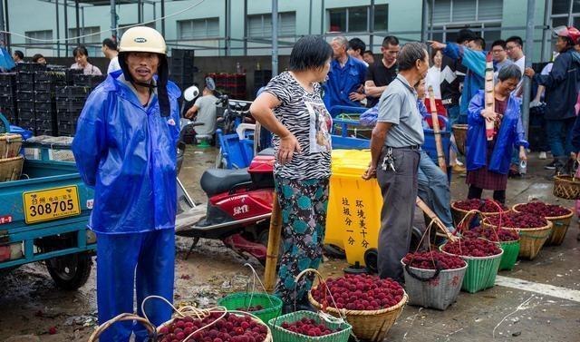 再不去临海吃东魁杨梅，极品杨梅只需20多元，错过再等一年