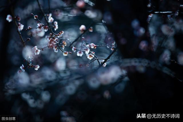 姜夔最短宋词（从姜夔的暗香疏影）(7)