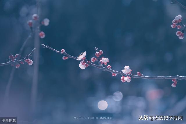 姜夔最短宋词（从姜夔的暗香疏影）(3)