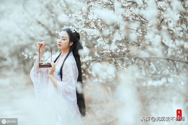 姜夔最短宋词（从姜夔的暗香疏影）(9)