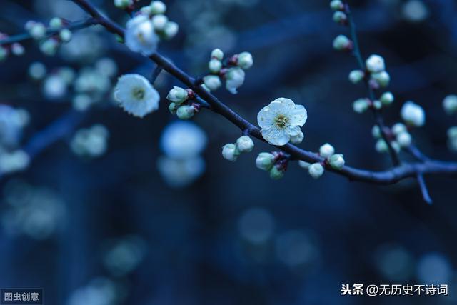 姜夔最短宋词（从姜夔的暗香疏影）(6)