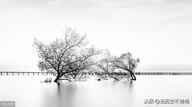 姜夔最短宋词（从姜夔的暗香疏影）(14)