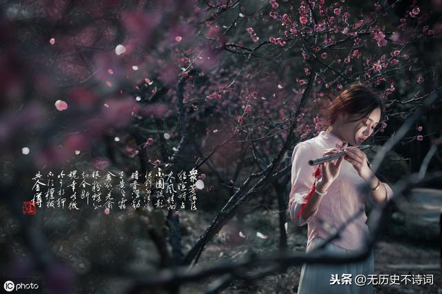 姜夔最短宋词（从姜夔的暗香疏影）(4)