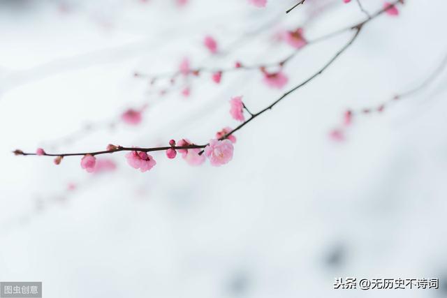 姜夔最短宋词（从姜夔的暗香疏影）(8)