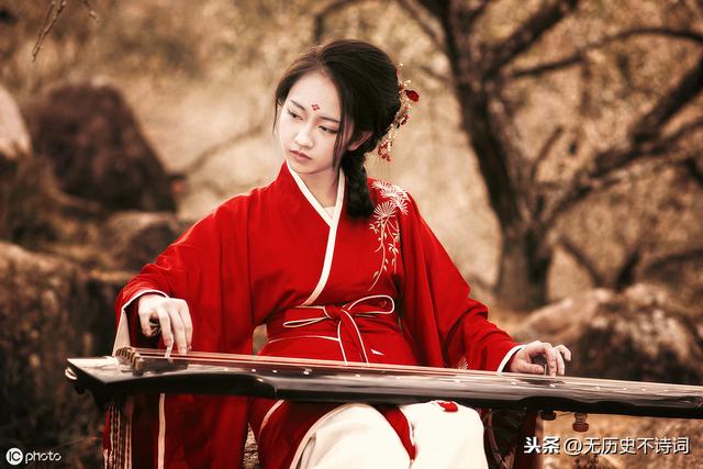 姜夔最短宋词（从姜夔的暗香疏影）(10)