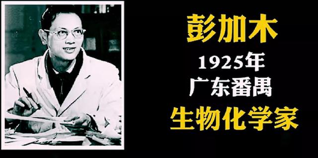 彭加木哪一年被找到（建国以来的悬案）(1)