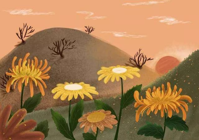 重阳节三十五首古诗（岁岁重阳今又重阳）(8)