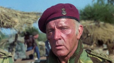 ​什么叫“雇佣兵”，不懂不要瞎讲