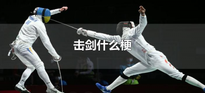 ​击剑什么梗（快来与我击剑什么梗）