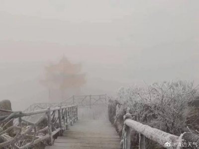 ​广东下雪了！144个寒冷预警生效中，气温低至……