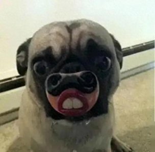 ​男子为了偷窥女人上厕所竟然在厕所坑内用小镜子偷窥