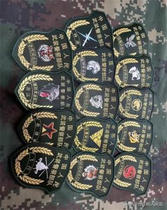 ​改制后，武警部队的特种臂章，你见过哪几个