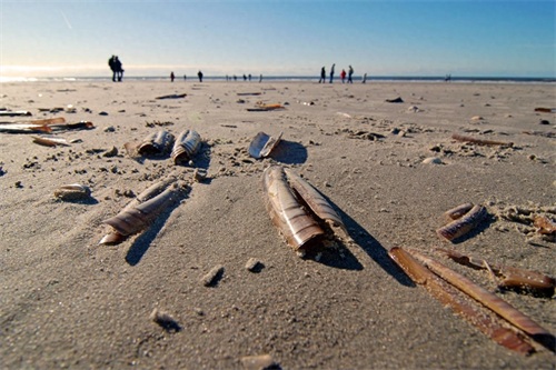 贝壳海滩位于加勒比海的圣巴特斯岛，最迷人的海滩之一
