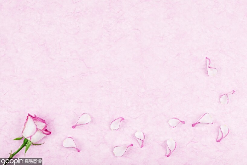 一组全是花的壁纸，一花一世界，遇见花开遇见你