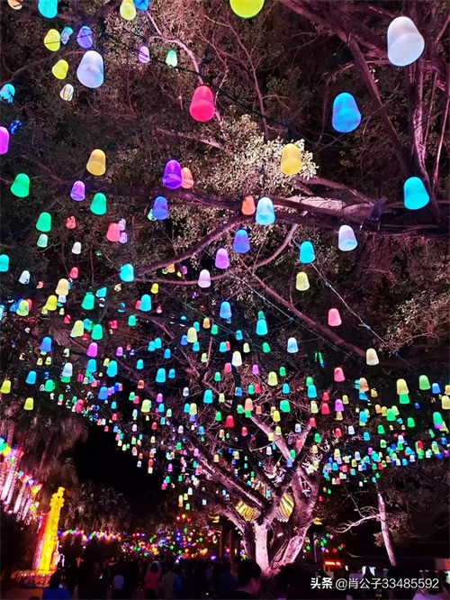 2020惠州西湖花灯会美爆了