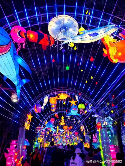 2020惠州西湖花灯会美爆了