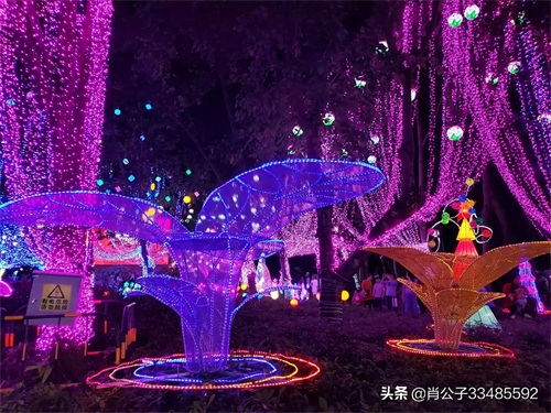 2020惠州西湖花灯会美爆了