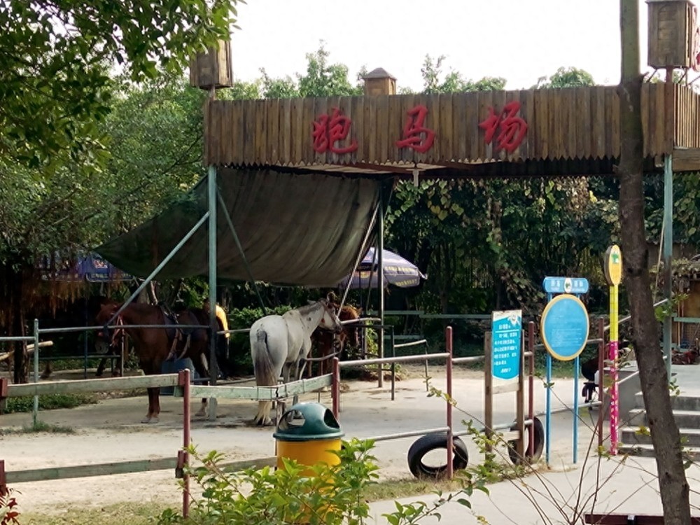 东莞隐贤山庄实景欣赏 隐贤山庄怎么样 好玩吗